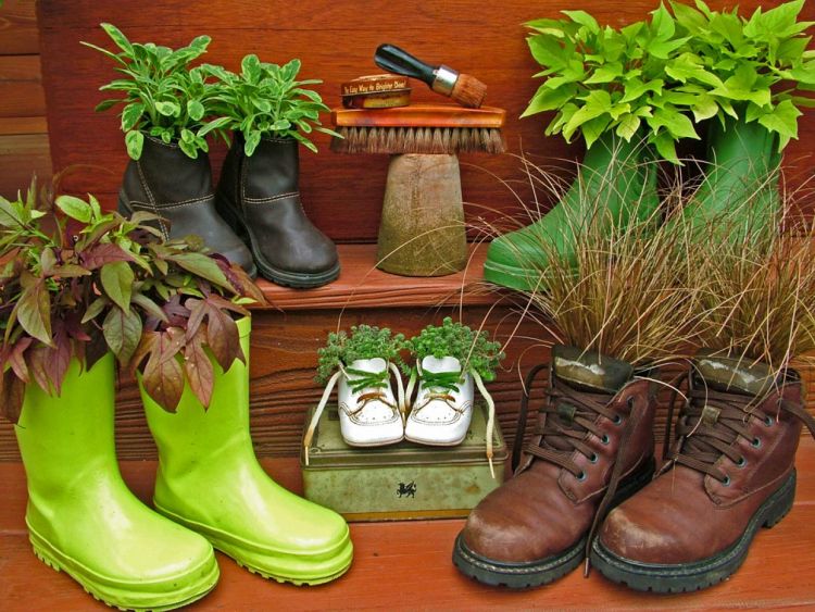 Pot Tanaman - Sepatu
