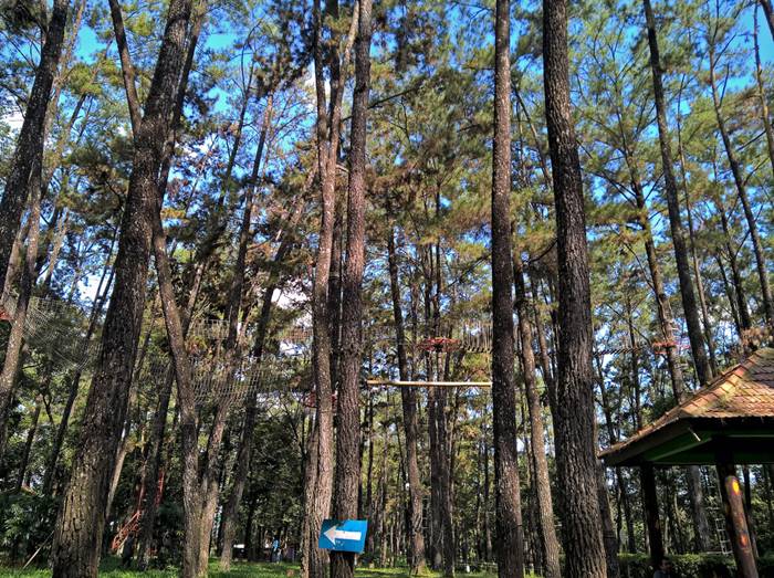 Punti Kayu tempat wisata di palembang