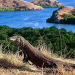 12 Wisata Pulau di Nusa Tenggara Barat Terbaik