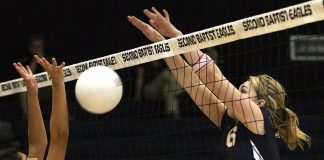 Mengenal Sejarah Bola Voli Dunia dan Indonesia