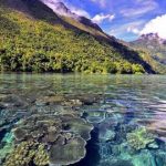 Menyusuri 10 Pesona Wisata Amahai & Pulau Seram Paling Indah!