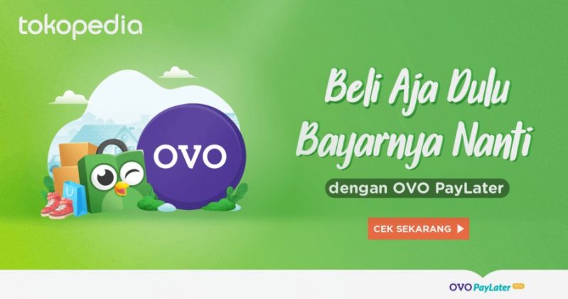 Ovo via paypal