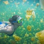 Wisata Pulau Derawan, Surga Tersembunyi di Kalimantan Timur