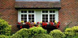 15 Tanaman Rambat Cantik nan Indah untuk Sempurnakan Taman Hunian