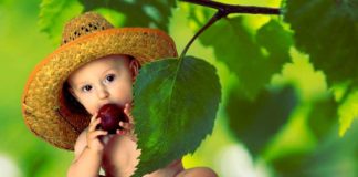 5 Rekomendasi Finger Food Praktis untuk Bayi