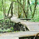 9 Rekomendasi Destinasi Wisata Tarakan Favorit