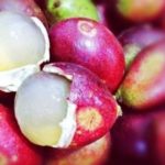 12 Manfaat Buah Matoa, Buah Lezat dan Eksostis Asal Papua