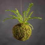 Mengenal Kokedama dan 7 Langkah Mudah Membuatnya di Rumah