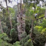 15 Daya Tarik Wisata Kutai Kartanegara yang Memukau