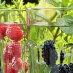 Buang Racun dalam Tubuh dengan 10 Buah untuk Detox Terbaik