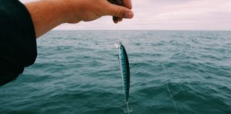 10 Merk Kail Pancing Terbaik, Tangkap Ikan Lebih Jitu!
