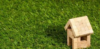 10 Jenis Rumput Taman untuk Halaman Rumah Terpopuler