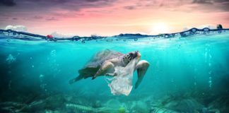 10 Cara & Upaya yang Bisa Dilakukan untuk Mengurangi Sampah Plastik