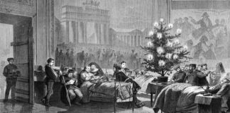 Fakta & Sejarah Pohon Natal, dari Mana Awalnya?