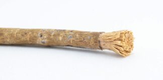 Manfaat Siwak dan Cara Bersiwak yang Benar Sesuai Sunnah