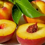 11 Manfaat Buah Persik atau Peach, ‘Si Manis-Lembut’ Berkhasiat