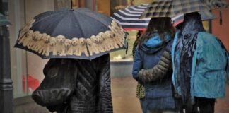 5 Model Jaket Eiger dengan Harga Murah dan Kualitas Terbaik