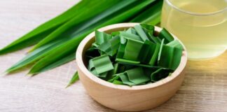 11 Manfaat Daun Pandan: Khasiat Seharum Aromanya