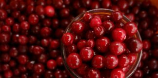 11 Manfaat Cranberry: Buah Merah dengan Vitamin Melimpah