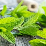 11 Manfaat Daun Mint: Herba Segar yang Bikin Tubuh Bugar