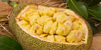 11 Manfaat Nangka: Buah Tinggi Protein Pengganti Daging