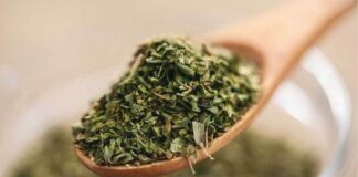11 Manfaat Oregano: Penyedap Makanan yang Kaya Antioksidan
