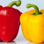 11 Manfaat Paprika: Buah Asal Amerika, Khasiat Tak Terduga