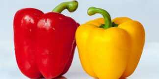 11 Manfaat Paprika: Buah Asal Amerika, Khasiat Tak Terduga