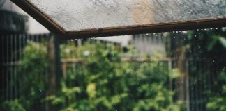 Musim Hujan Tiba! Lakukan 10 Langkah Antisipasi Banjir Berikut!