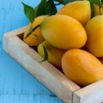 11 Manfaat Buah Gandaria: Ketika Mangga dan Jeruk Jadi Satu