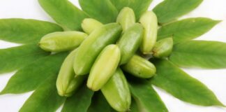 11 Manfaat Belimbing Wuluh: ‘Si Mungil’ Ampuh Obati Batuk?