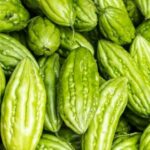 15 Manfaat Pare: Rasa Berbanding Terbalik dengan Khasiat