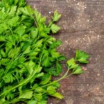 11 Manfaat Parsley/Peterseli: Cegah Diabetes hingga Awet Muda