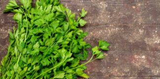 11 Manfaat Parsley/Peterseli: Cegah Diabetes hingga Awet Muda