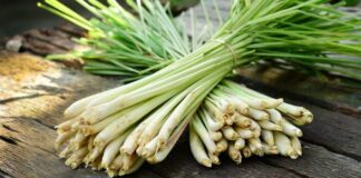 15 Manfaat Sereh: Harum, Serbaguna dan Menyehatkan