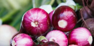 Simak Cara dan Tips Menanam Bawang Merah!
