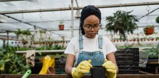 7 Cara Menanam Tomat yang Baik: Mudah & Banyak Manfaatnya!