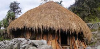 Rumah Adat Papua, Gambar & Penjelasan Mengenai Keunikannya