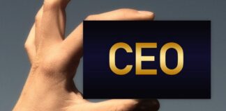 Apa Itu CEO? Simak Penjelasan & Tugas CEO!