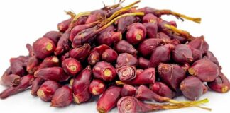 11 Manfaat Bawang Dayak: Bawang Unik, Kaya Antioksidan