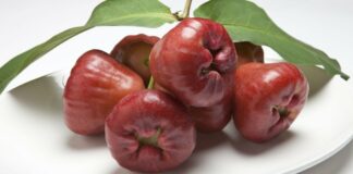 11 Manfaat Jambu Air: Buah Kaya Air dan Vitamin