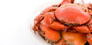 5 Cara Membersihkan Kepiting Sebelum Dimasak: Mudah & Cepat