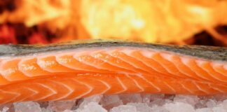 14 Makanan yang Mengandung Omega 3: Bergizi dan Sehat
