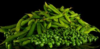 11 Manfaat Kacang Polong: Gizi Lengkap, Halau Penyakit