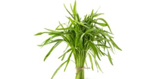 13 Manfaat Kangkung: Sayur Pelengkap, Kaya Guna