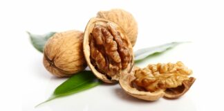 10 Manfaat Walnut: Gizi Lengkap, Mudah Didapat
