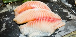 11 Manfaat Ikan Lele: Lauk Favorit yang Kaya Gizi