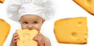 10 Merk Keju untuk Bayi Terbaik, Aman, Lezat dan Bergizi!