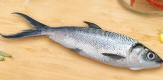11 Manfaat Ikan Bandeng: Sumber Protein yang Gurih