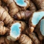 9 Manfaat Temu Ireng: Obat Tradisional Tak Terduga